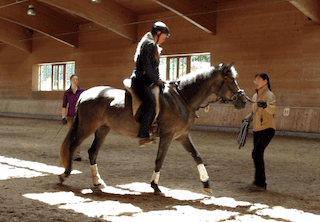 Young Graya at Anja Beran's